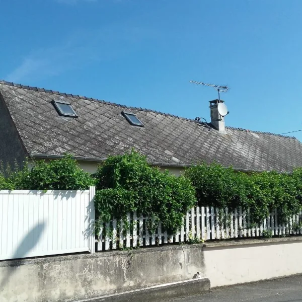 Nettoyage de toiture + peinture