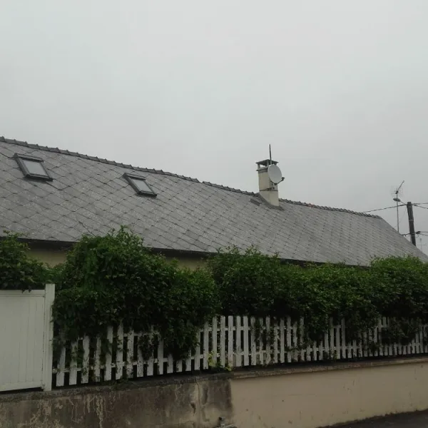 Nettoyage de toiture + peinture