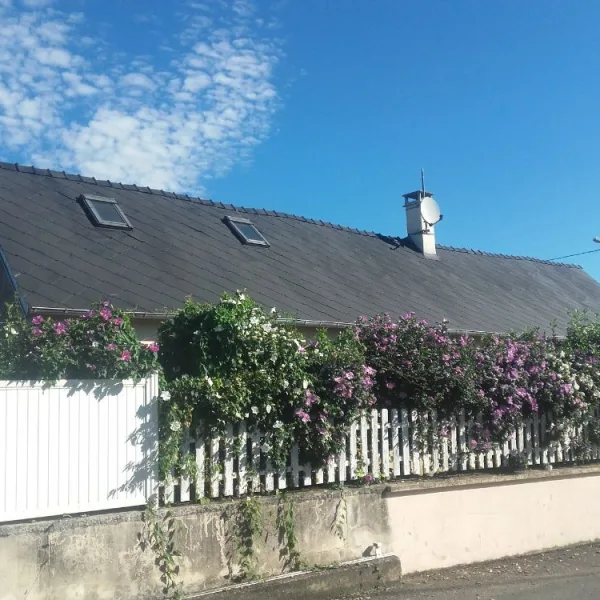 Nettoyage de toiture + peinture