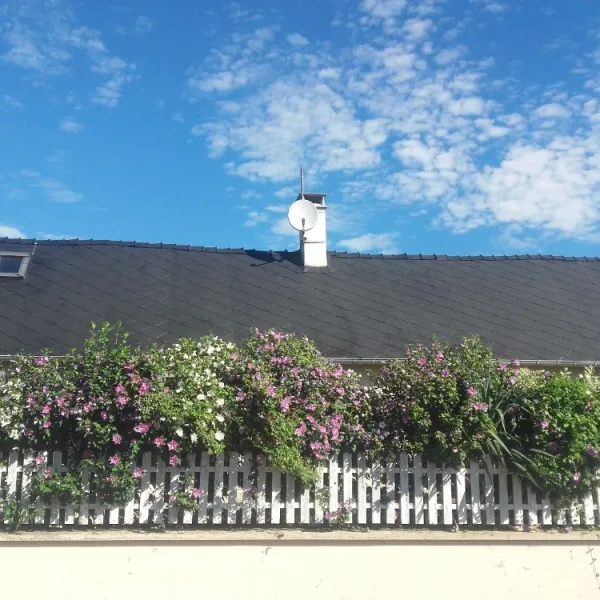 Nettoyage de toiture + peinture