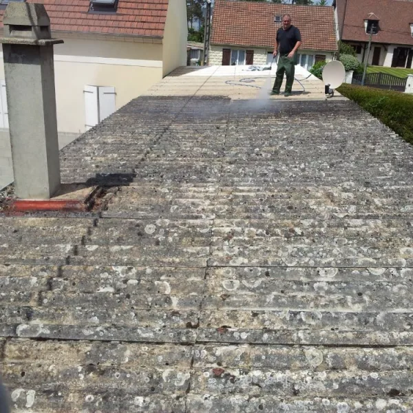 Nettoyage de toiture + peinture