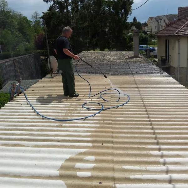 Nettoyage de toiture + peinture