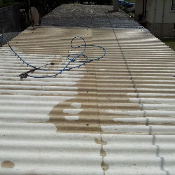 Nettoyage de toiture + peinture