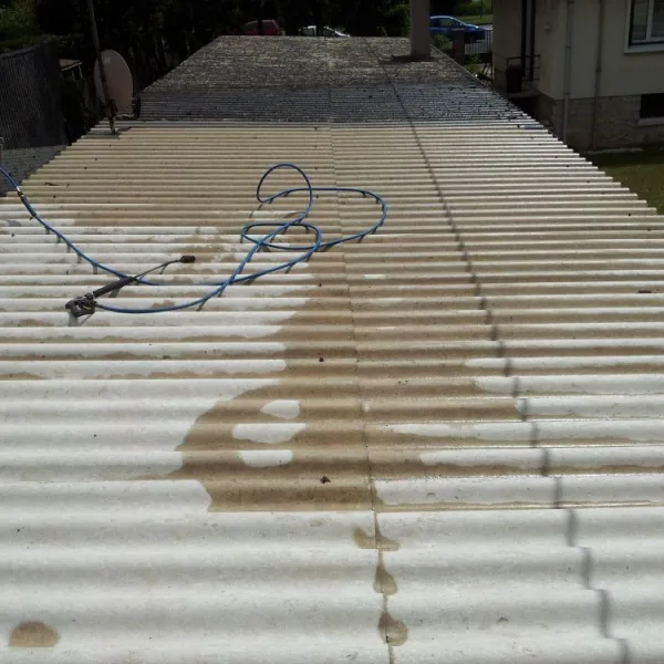 Nettoyage de toiture + peinture