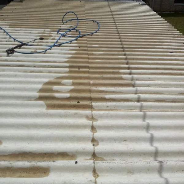 Nettoyage de toiture + peinture