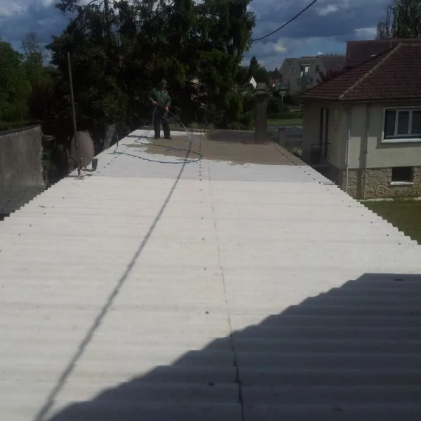 Nettoyage de toiture + peinture