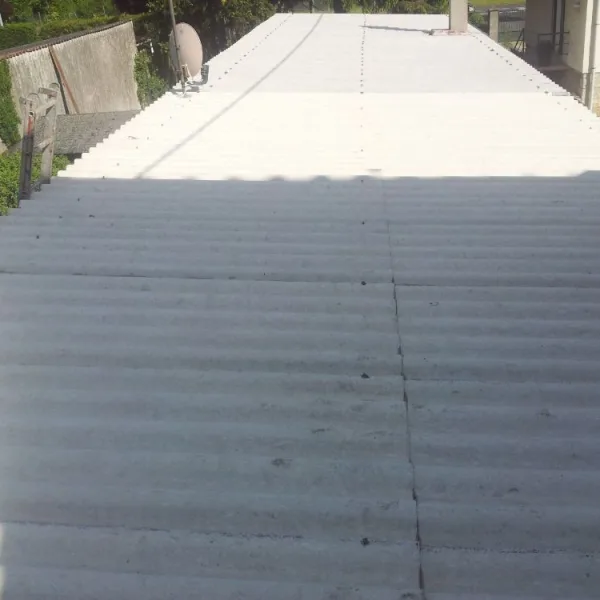 Nettoyage de toiture + peinture
