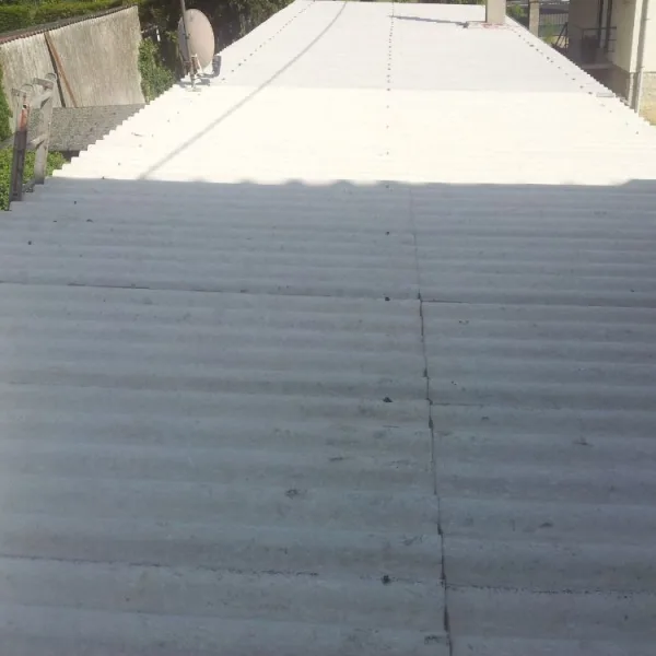 Nettoyage de toiture + peinture