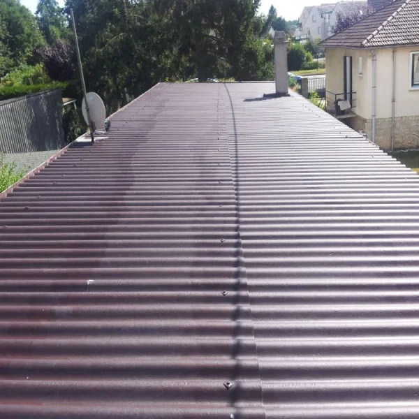 Nettoyage de toiture + peinture