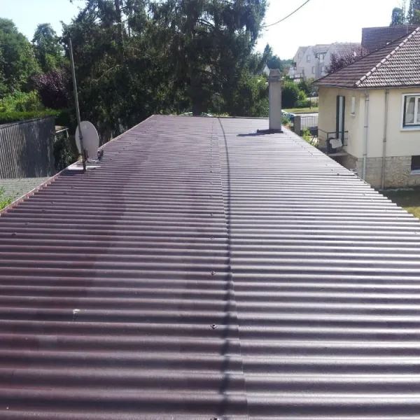 Nettoyage de toiture + peinture