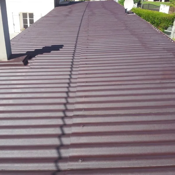 Nettoyage de toiture + peinture