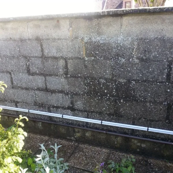 Nettoyage muret de façade et mise en peinture