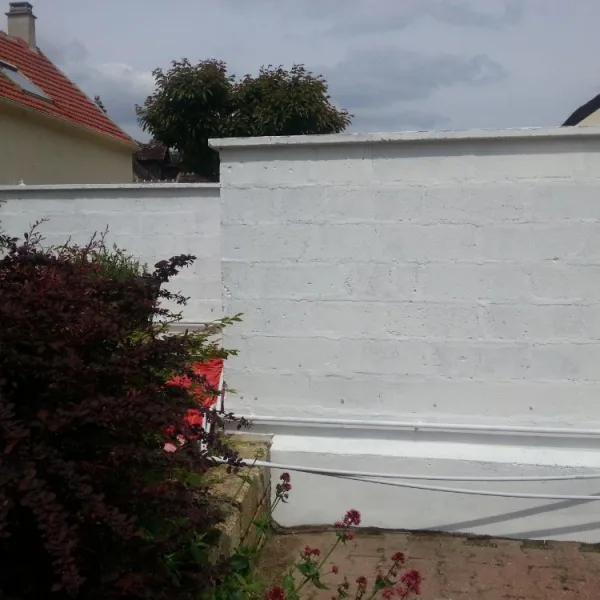 Nettoyage muret de façade et mise en peinture