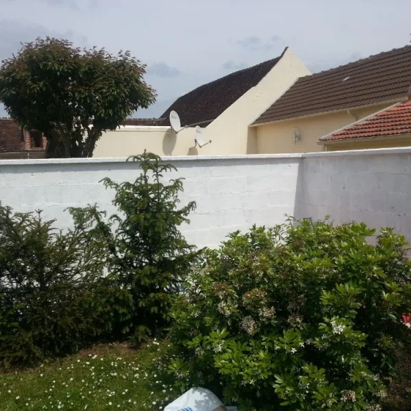 Nettoyage muret de façade et mise en peinture