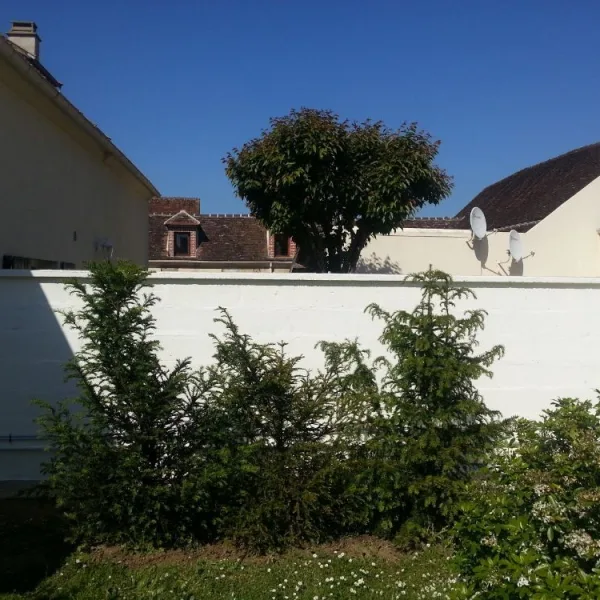 Nettoyage muret de façade et mise en peinture