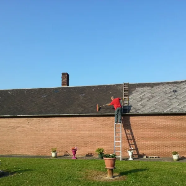 Nettoyage de toiture + peinture