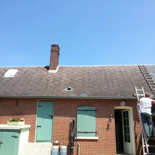 Nettoyage de toiture + peinture