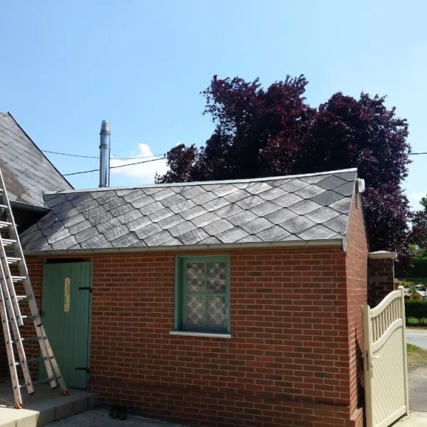 Nettoyage de toiture + peinture