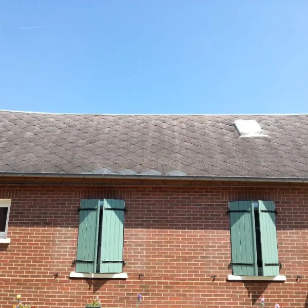 Nettoyage de toiture + peinture