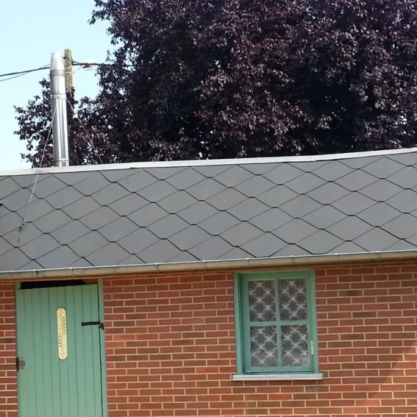 Nettoyage de toiture + peinture