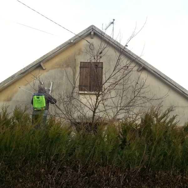 Traitement pignon