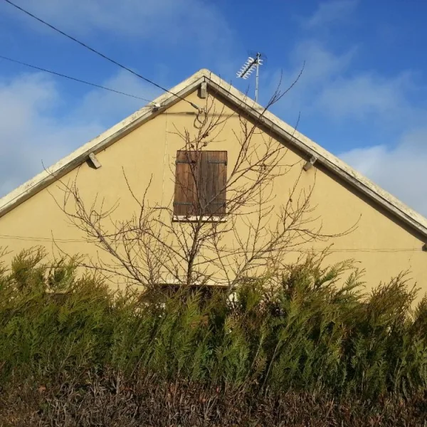 Traitement pignon