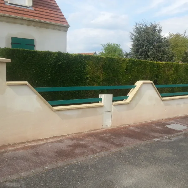 Traitement de muret