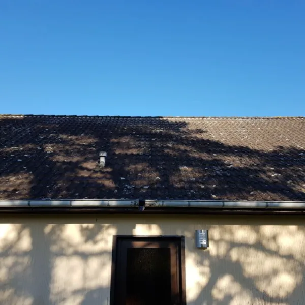 Nettoyage de toiture + peinture