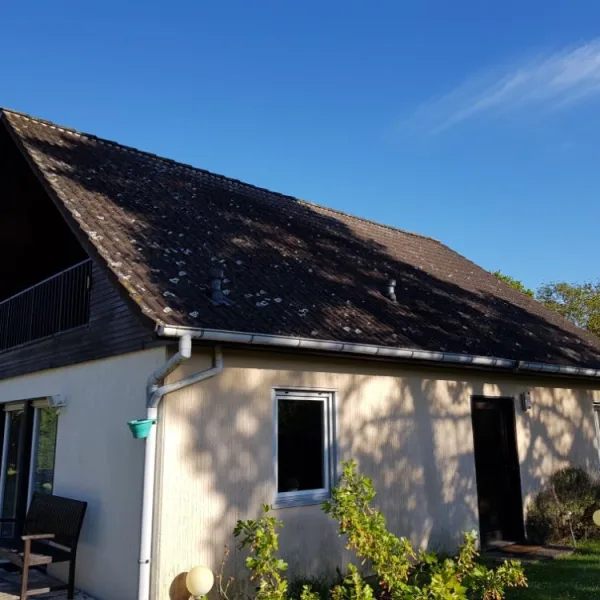 Nettoyage de toiture + peinture