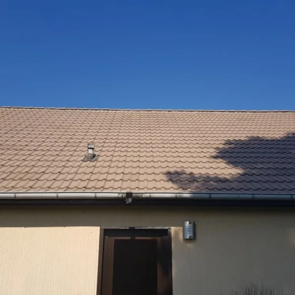 Nettoyage de toiture + peinture