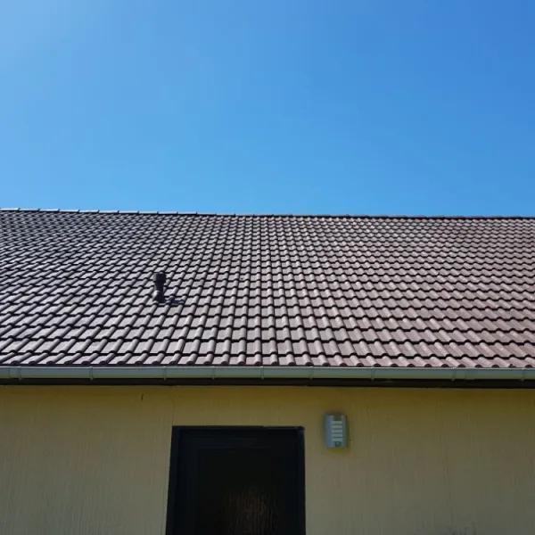 Nettoyage de toiture + peinture