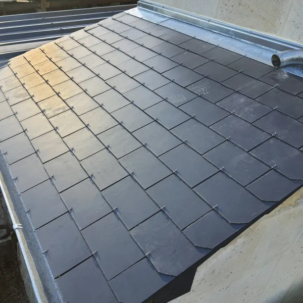 Couverture Ardoise et Tole Bac Acier + Charpente Pierrefonds