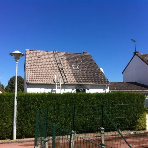 Nettoyage de toiture + peinture