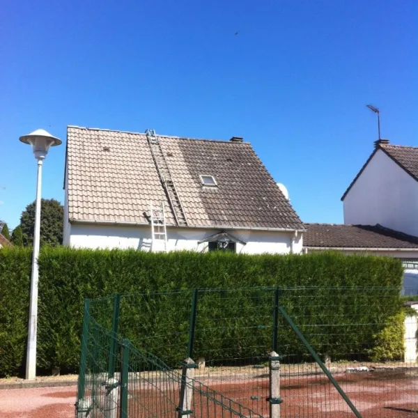 Nettoyage de toiture + peinture