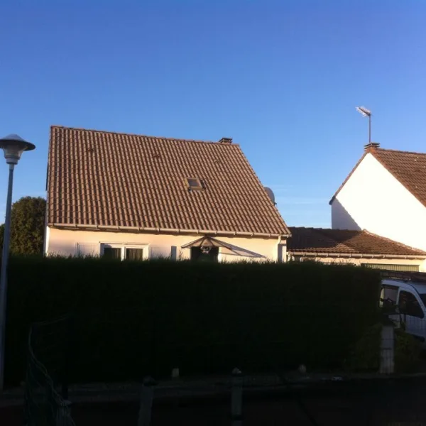 Nettoyage de toiture + peinture