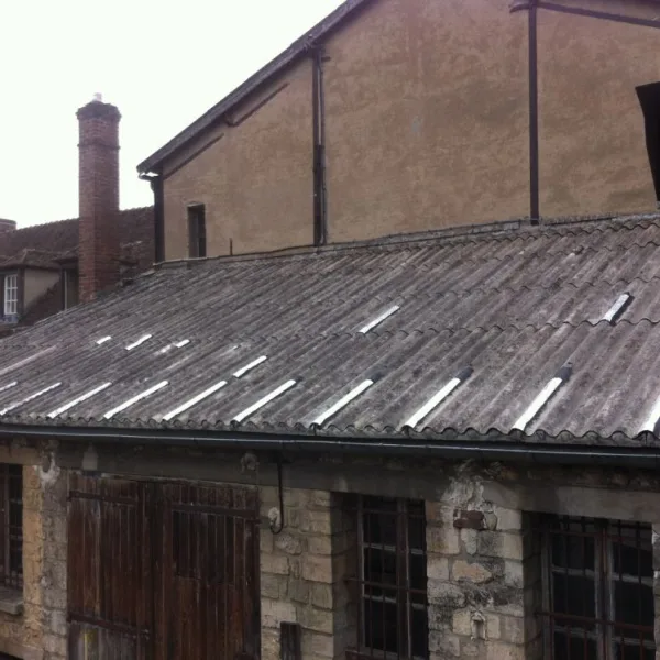 Nettoyage de toiture au balai-brosse métallique + réparation de toiture