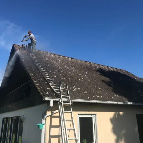 Nettoyage de toiture + peinture