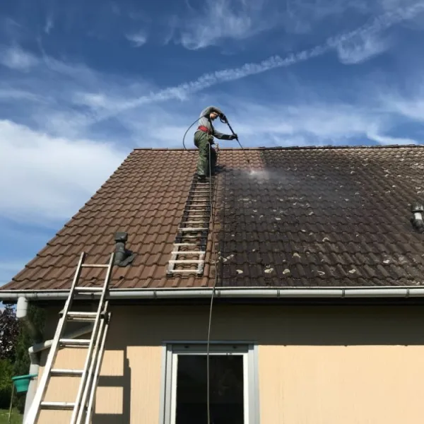 Nettoyage de toiture + peinture