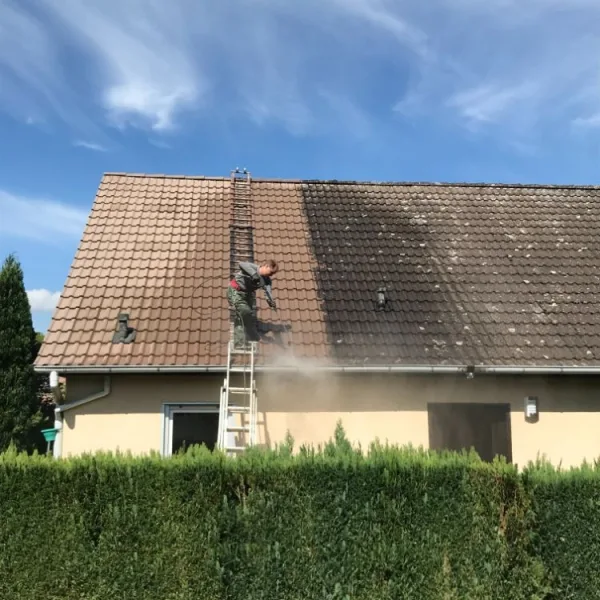 Nettoyage de toiture + peinture