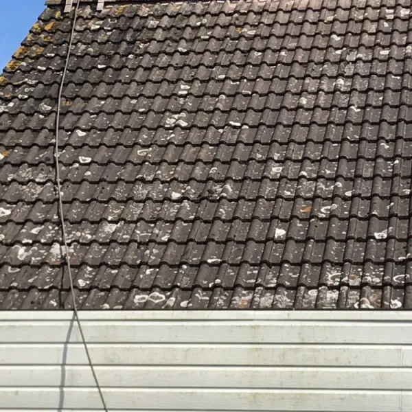 Nettoyage de toiture + peinture