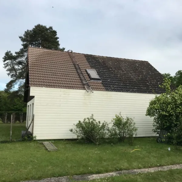 Nettoyage de toiture + peinture